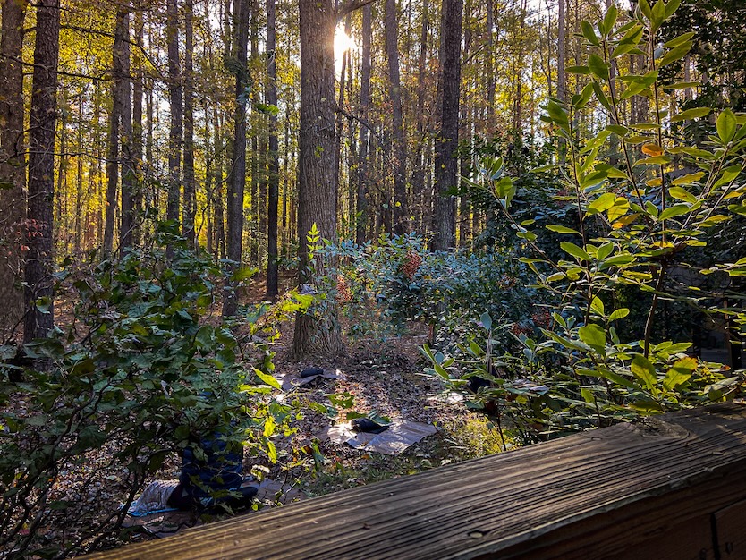 Image of the Zen Center trails during the very first Outdoor Sitting.