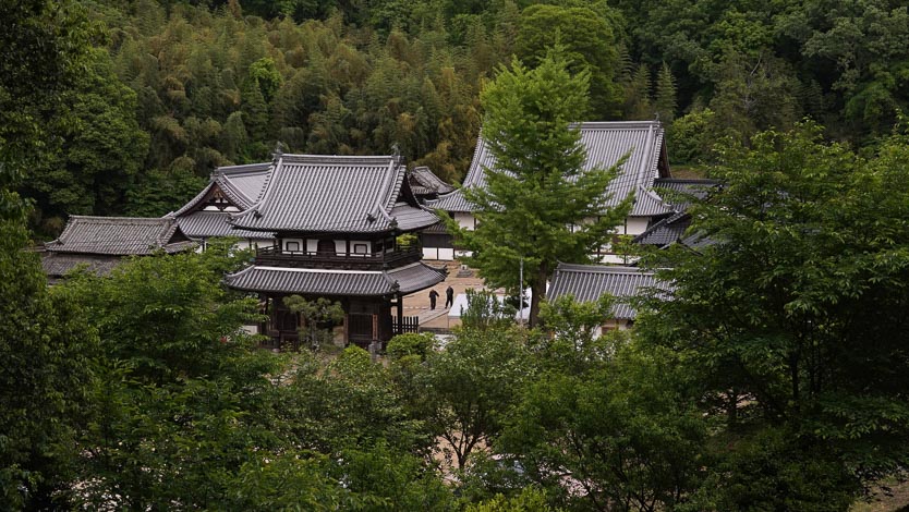 View of Toshoji in the Woods